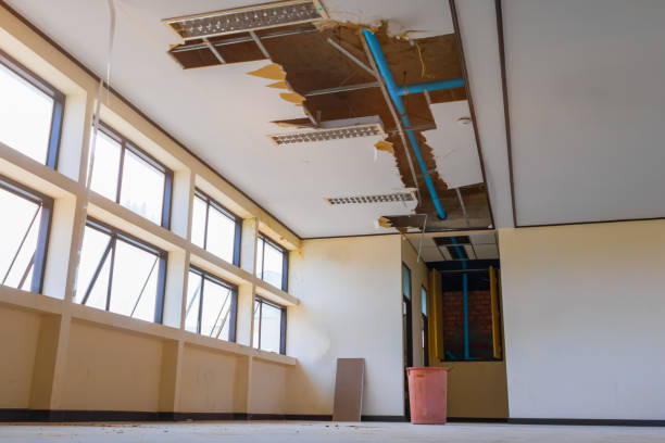 Best Basement water damage restoration  in Aberdeen, MD