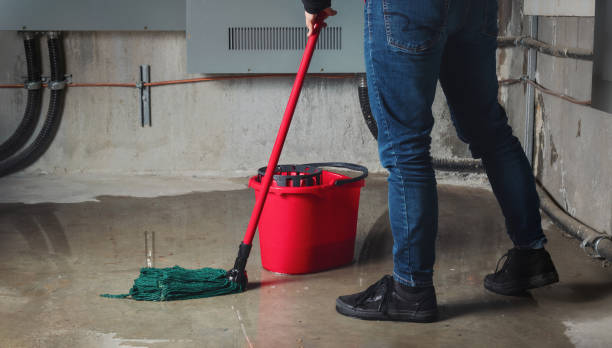 Best Fire Damage Restoration  in Aberdeen, MD